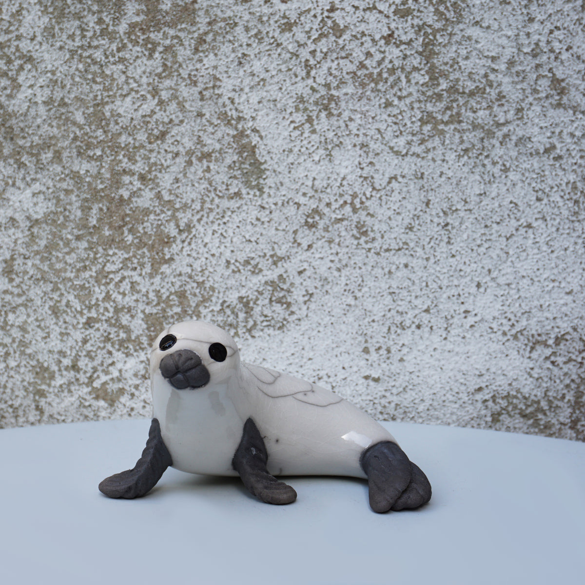 White Seal Curled