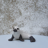White Seal Curled