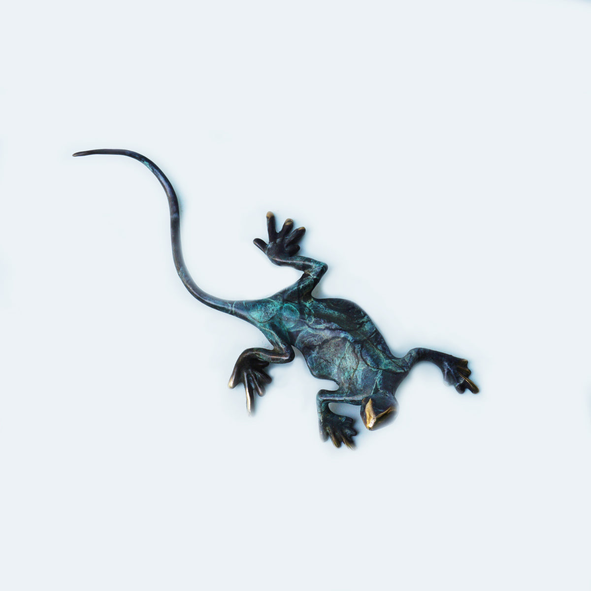 Lizard - Medium