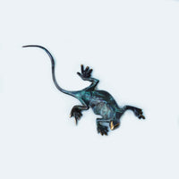 Lizard - Medium