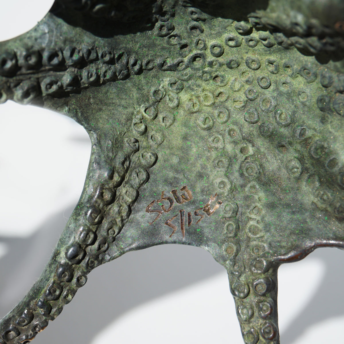 Octopus - Limited Edition