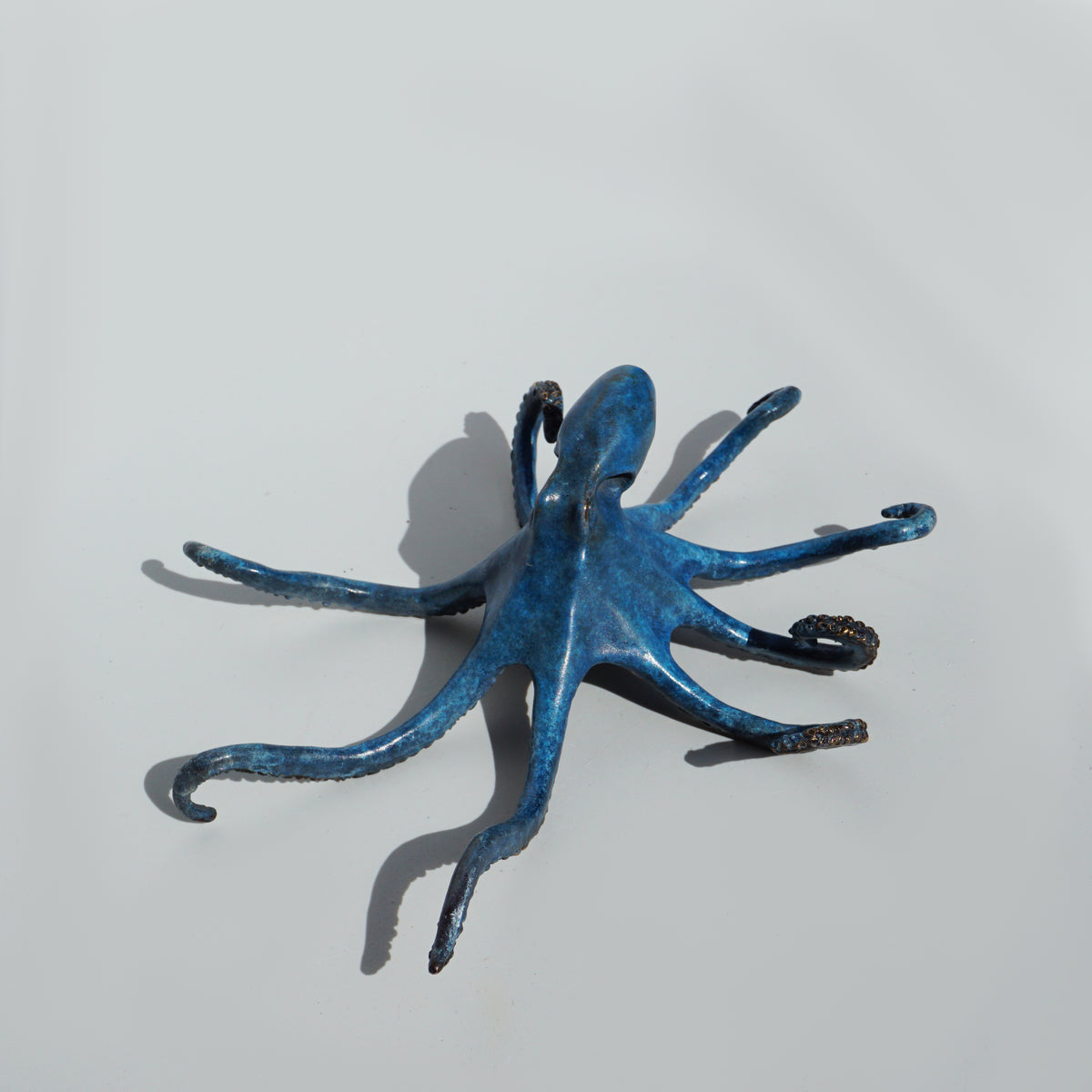 Octopus - Limited Edition