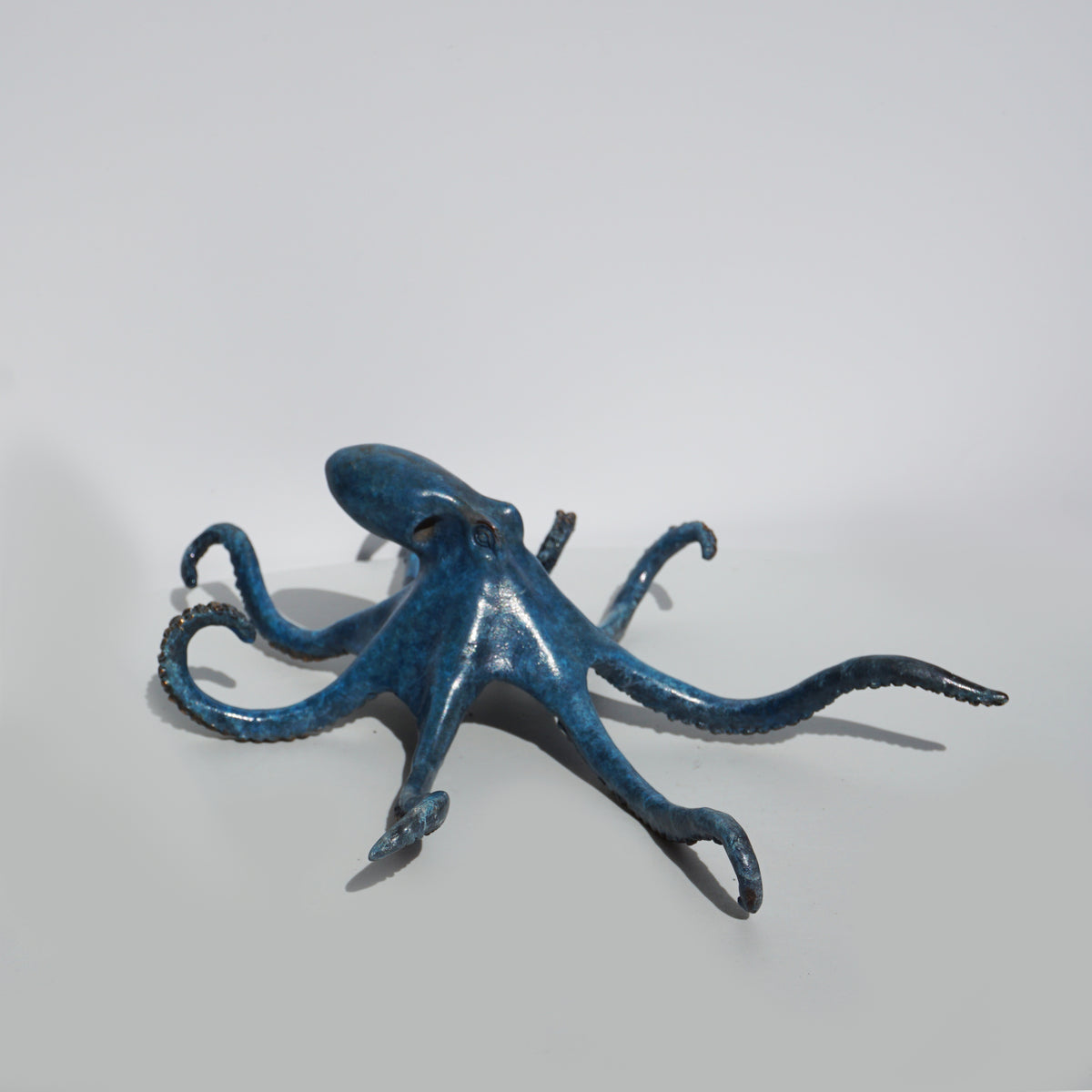 Octopus - Limited Edition