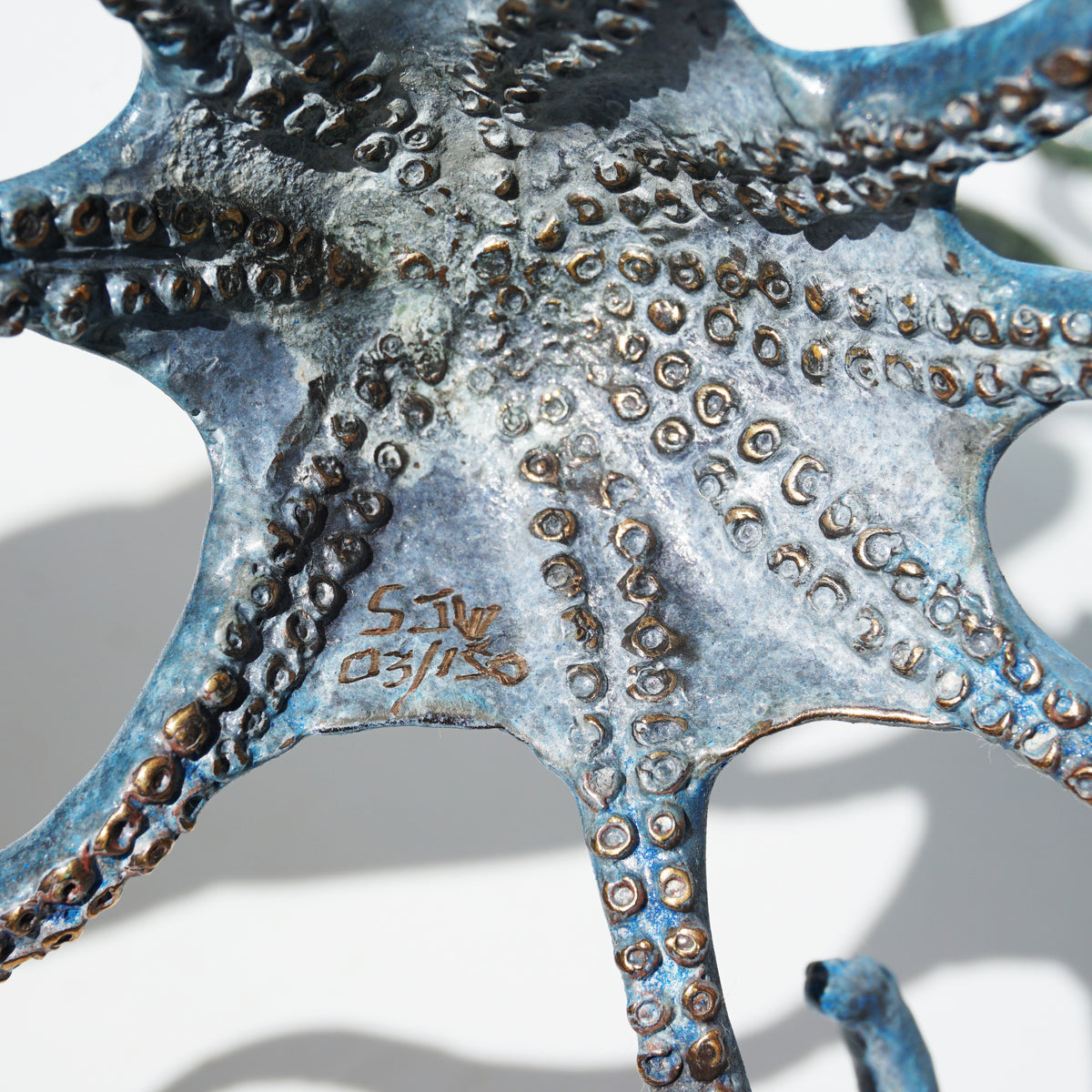 Octopus - Limited Edition