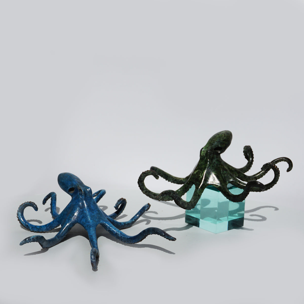 Octopus - Limited Edition