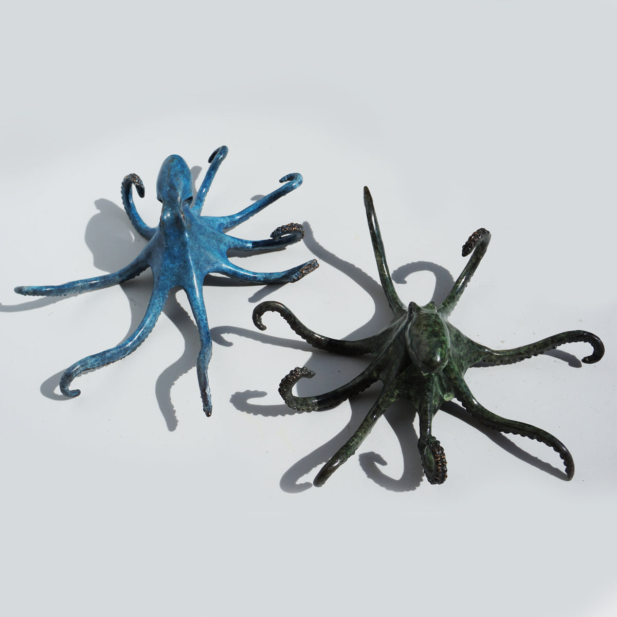 Octopus - Limited Edition