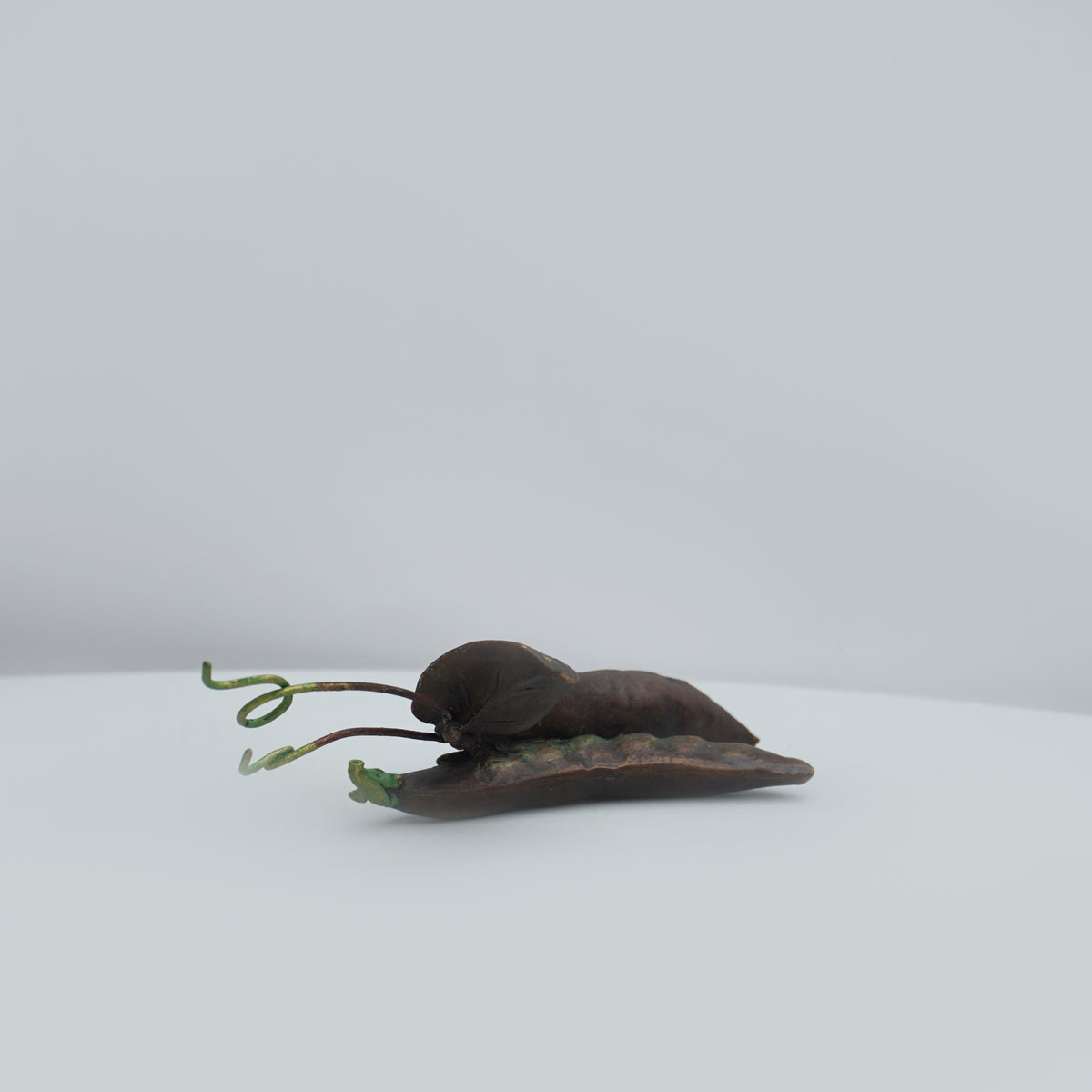 Pea Pod