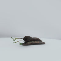 Pea Pod