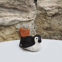 Penguin - Chick