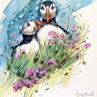 Puffins and Pinks 1