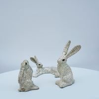 Small Lying Hare