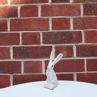 Small Sitting Hare