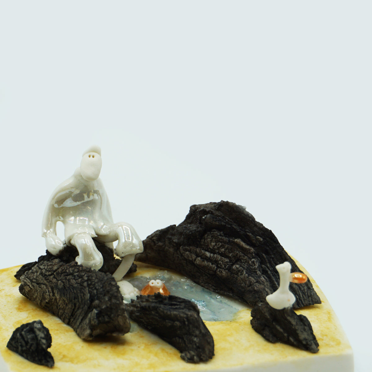 Rockpool Man