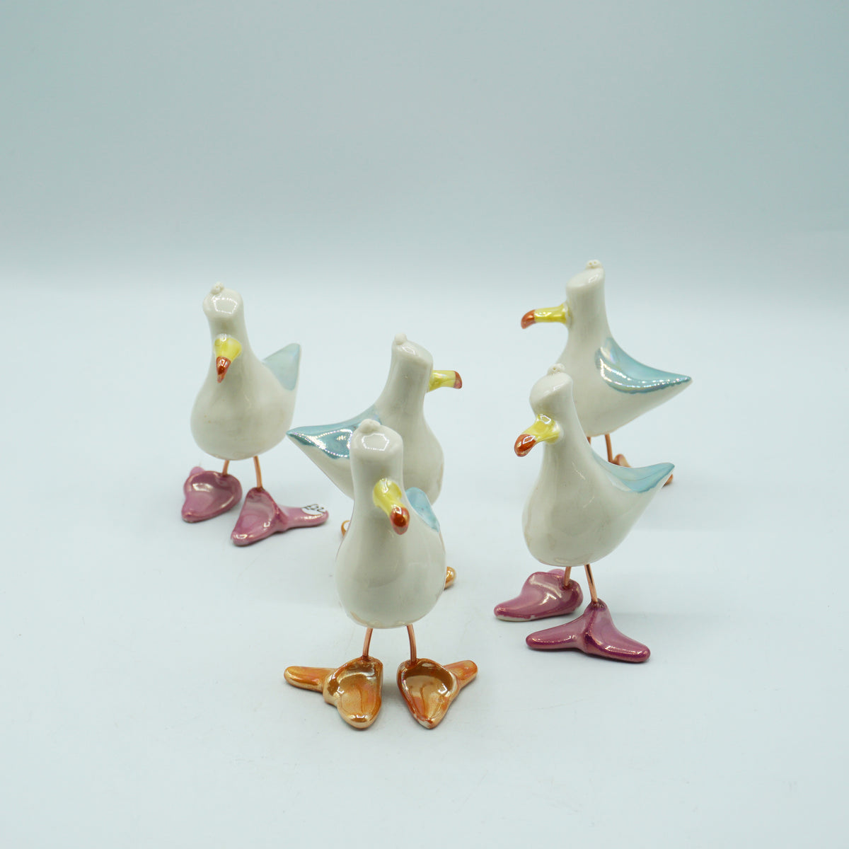 Seagulls