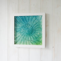 Small Ammonite Frame - Square