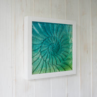 Small Ammonite Frame - Square