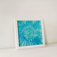 Small Ammonite Frame - Square