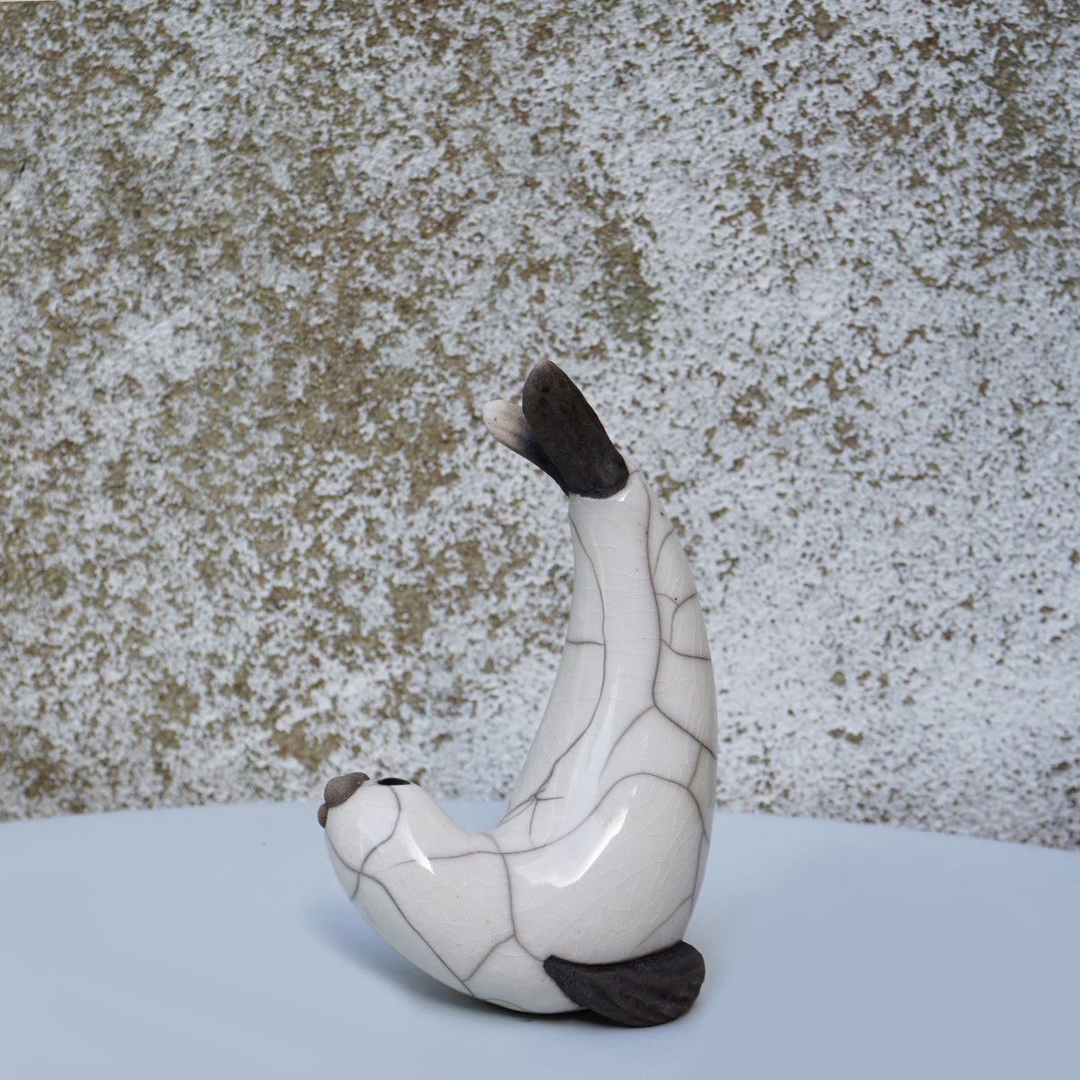 White Seal Diving - Small