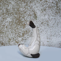 White Seal Diving - Small