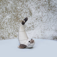 White Seal Diving - Small