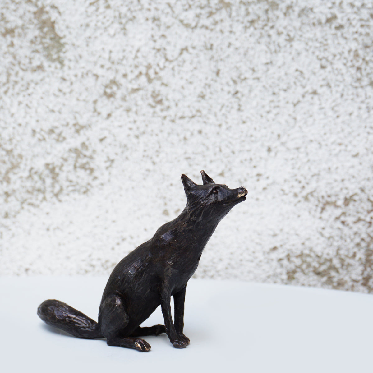 Fox Sitting