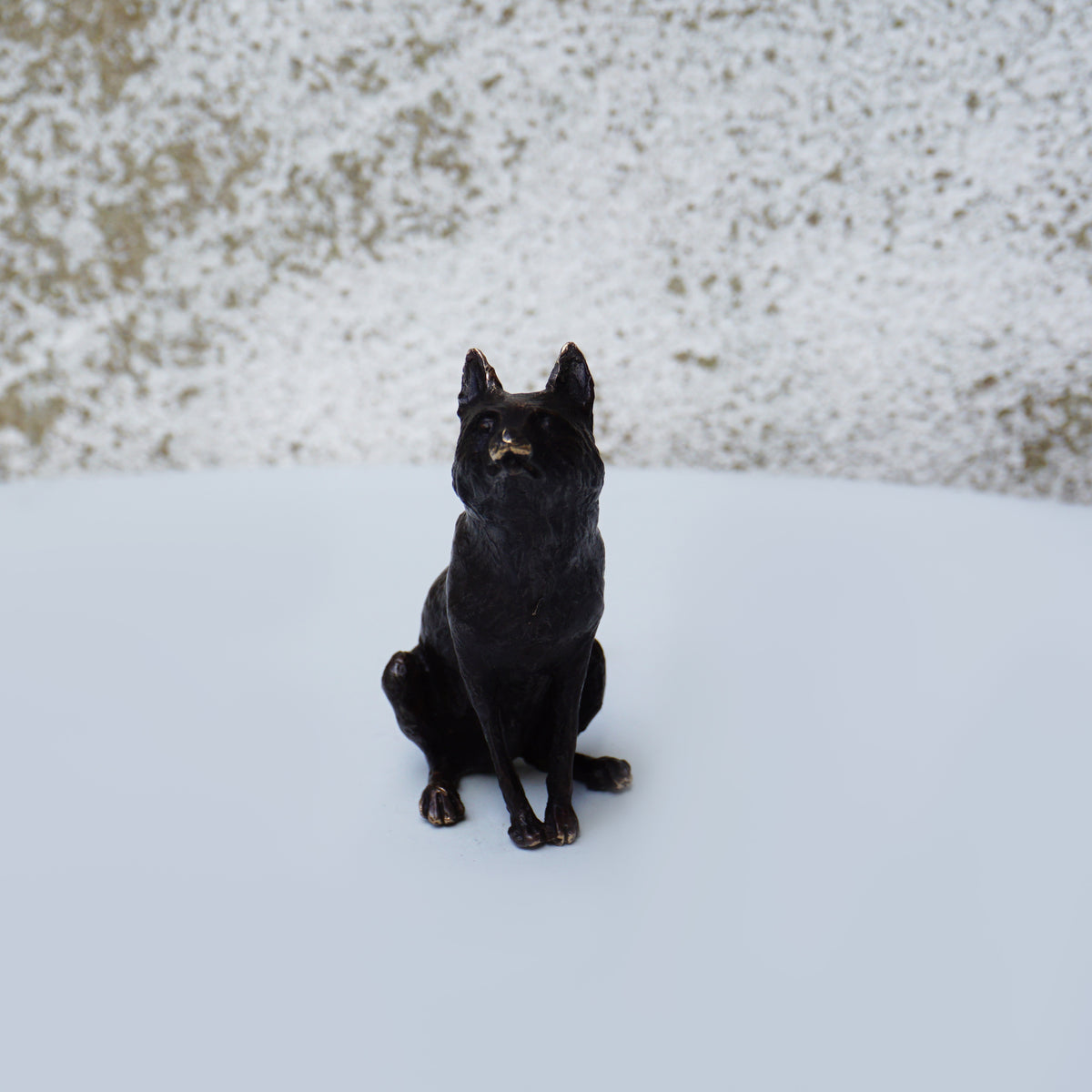 Fox Sitting