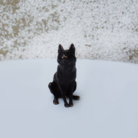Fox Sitting