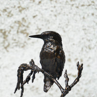 Waterside-Kingfisher