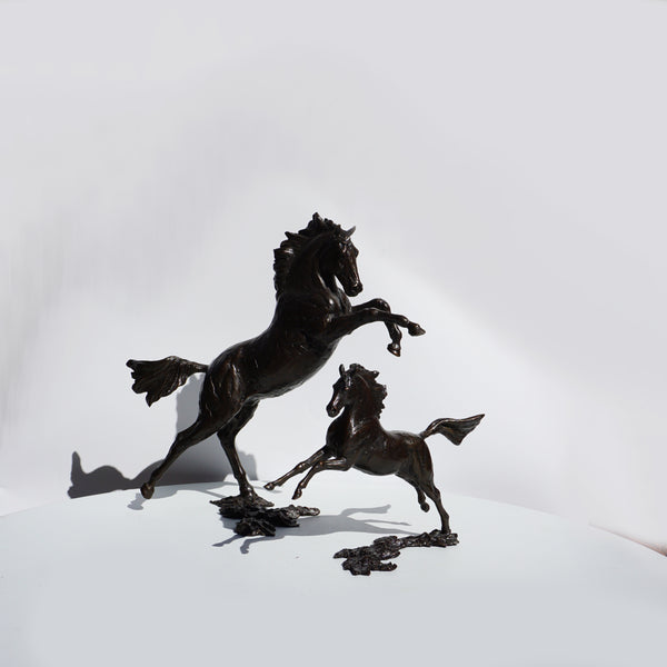 Sky - Horse