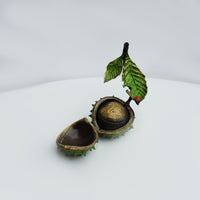 Large Conker with Ladybird