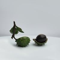 Large Conker with Ladybird
