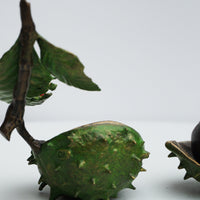 Large Conker with Ladybird