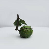 Large Conker with Ladybird