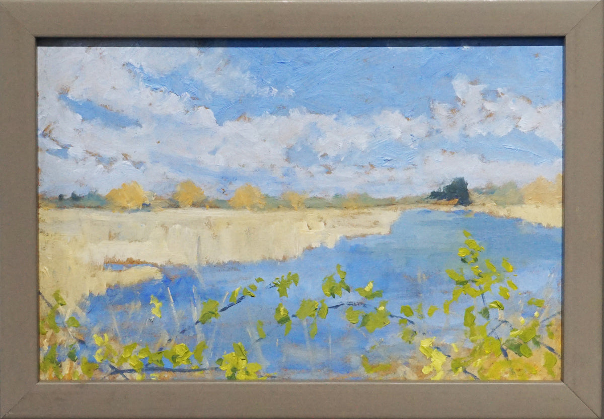 Radipole Lake Reed Bramble, Winow