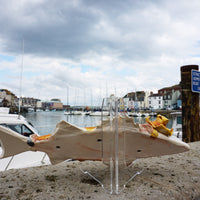 Trawler Man Fish