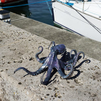 Large Octopus - Limited Edition