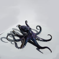 Large Octopus - Limited Edition
