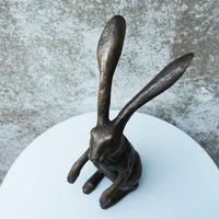 Watching Hare