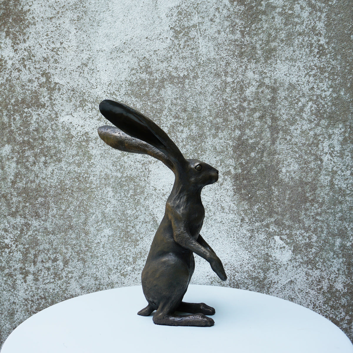 Watching Hare