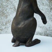 Watching Hare