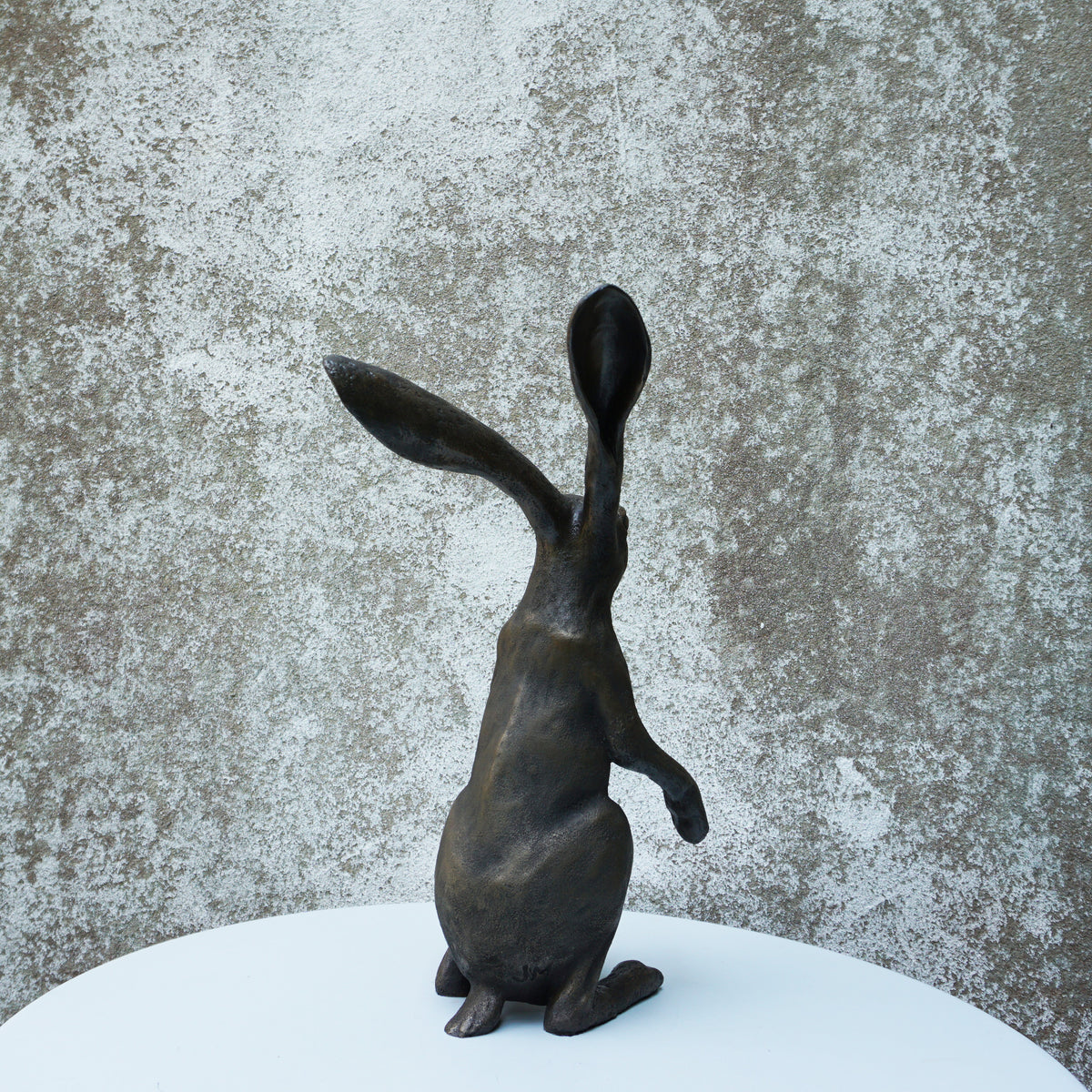Watching Hare