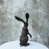 Watching Hare