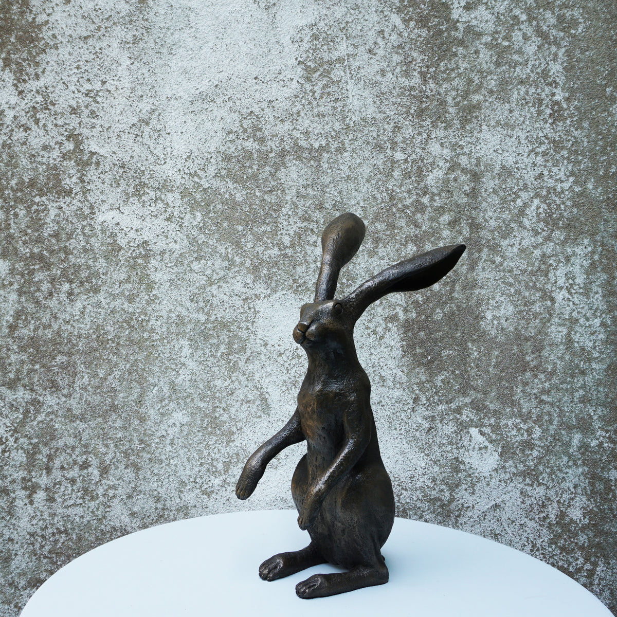 Watching Hare
