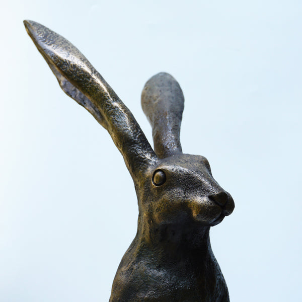 Watching Hare