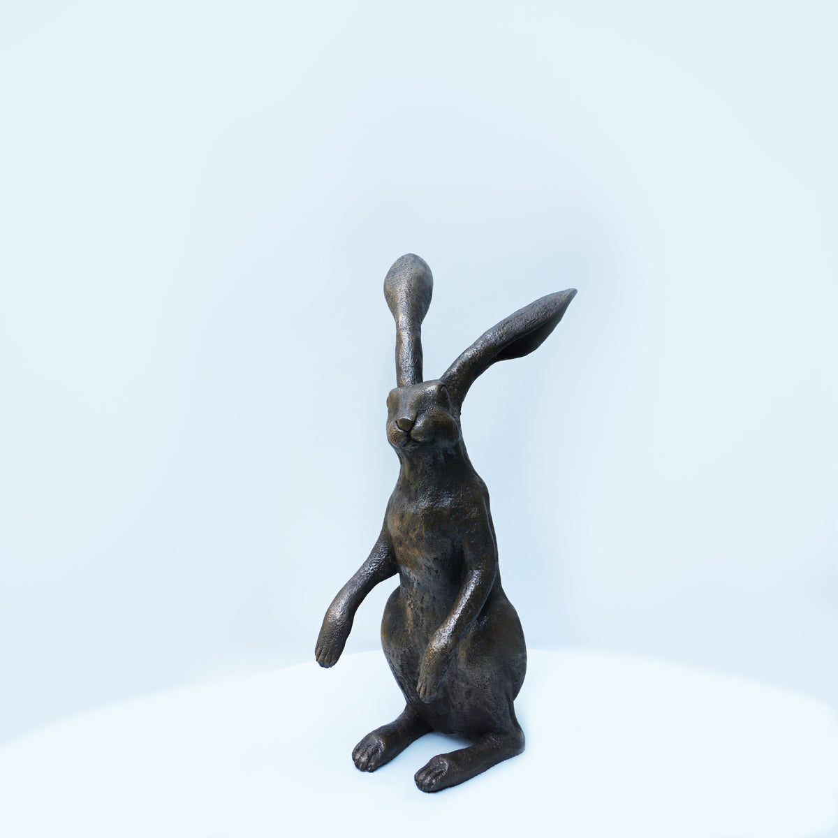 Watching Hare