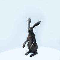 Watching Hare