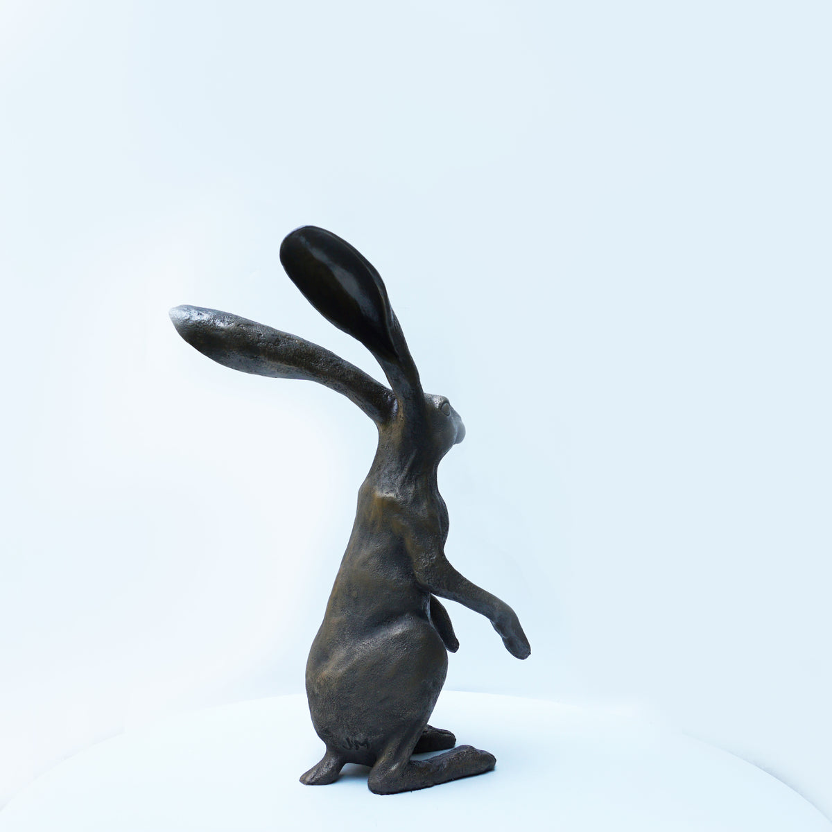 Watching Hare