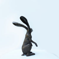Watching Hare