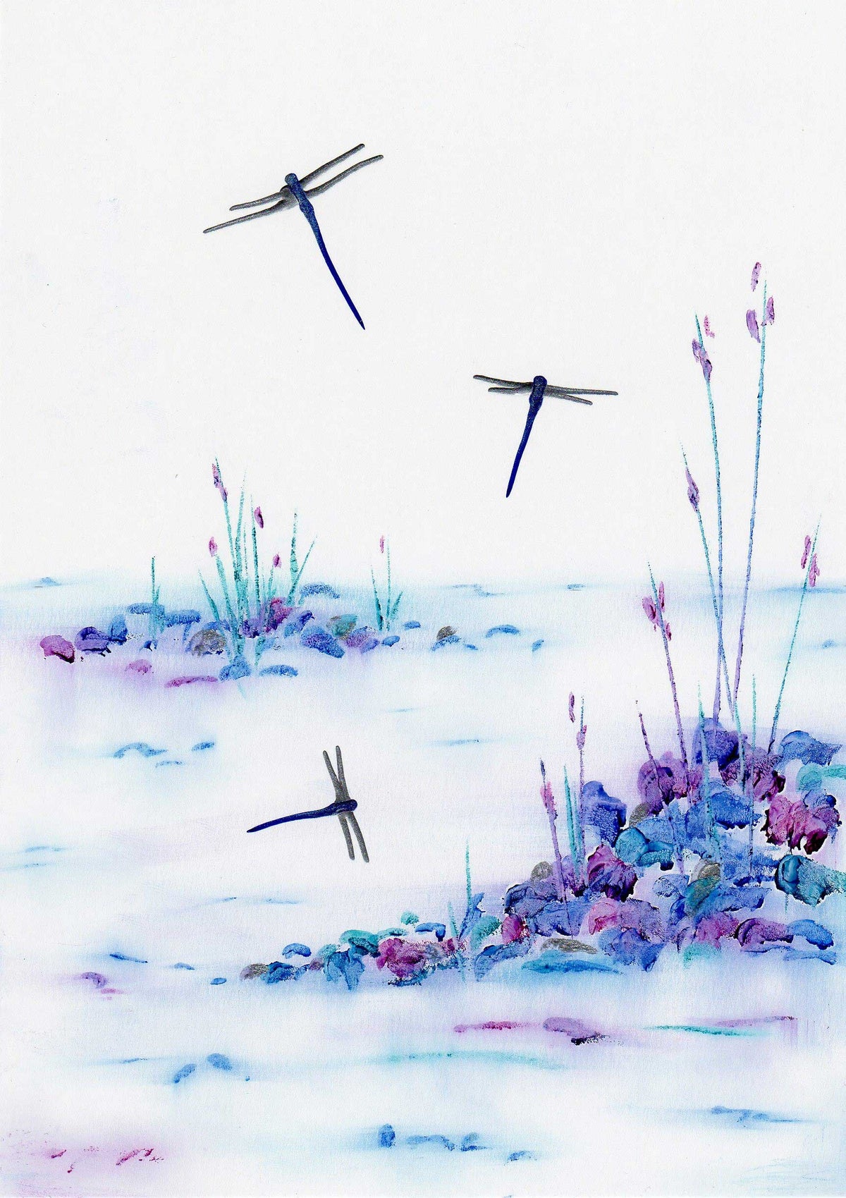 Magical Flight (Limited Edition Print)