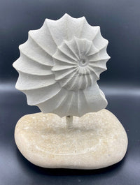 Ammonite